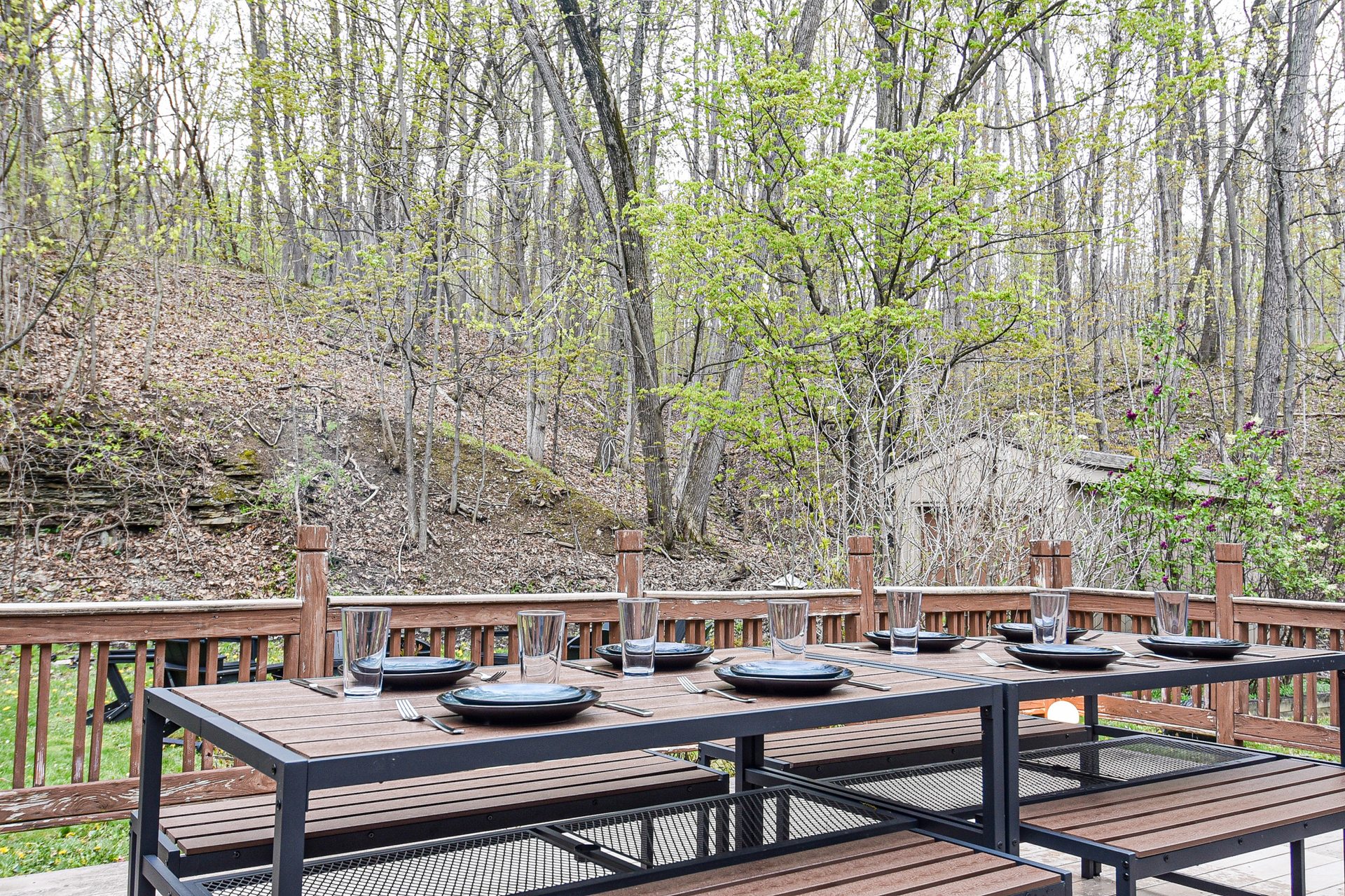 Back Deck + Fire Pit