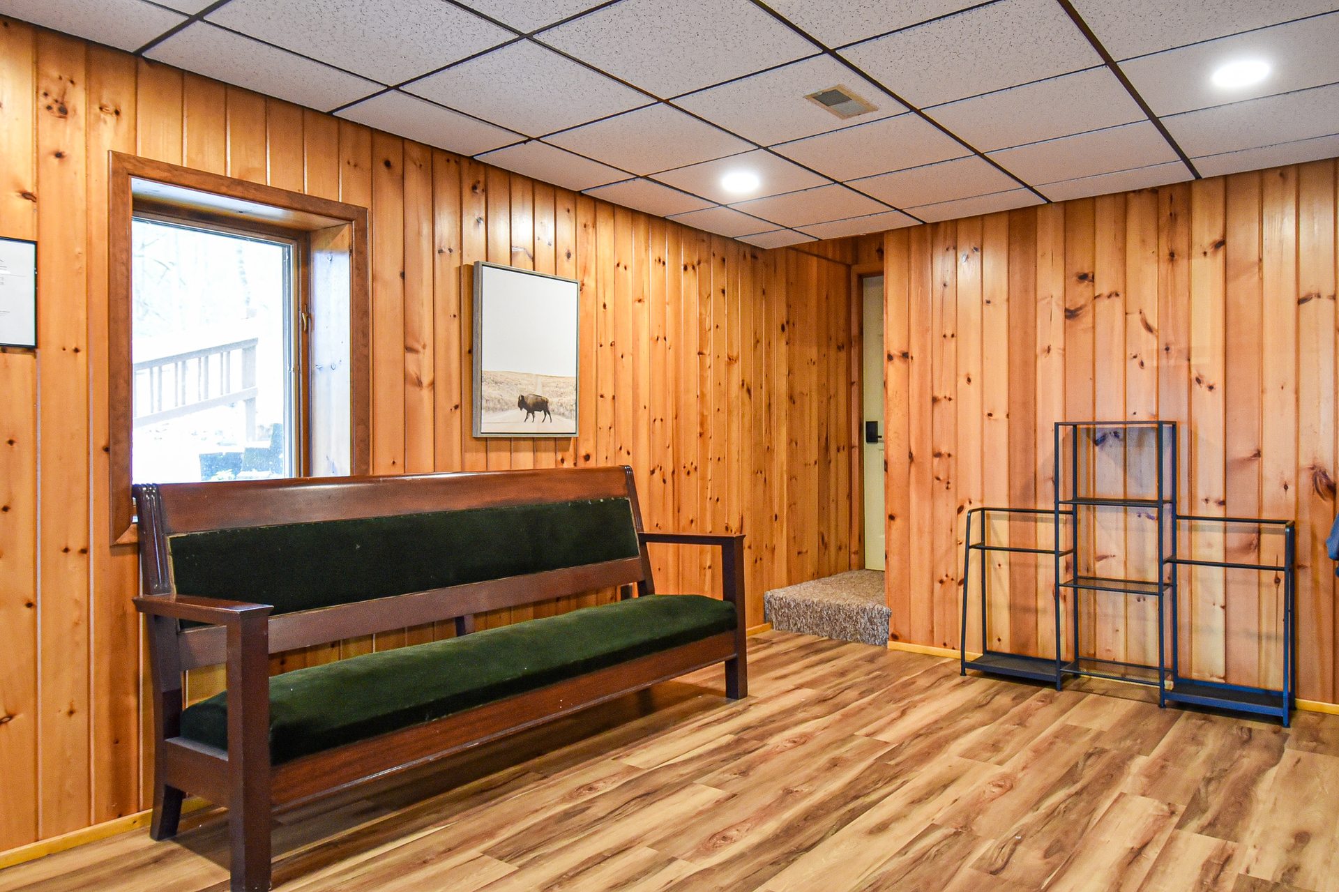 Basement Den