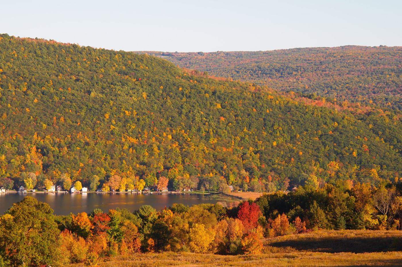 Fall foliage over Naples with lake view
